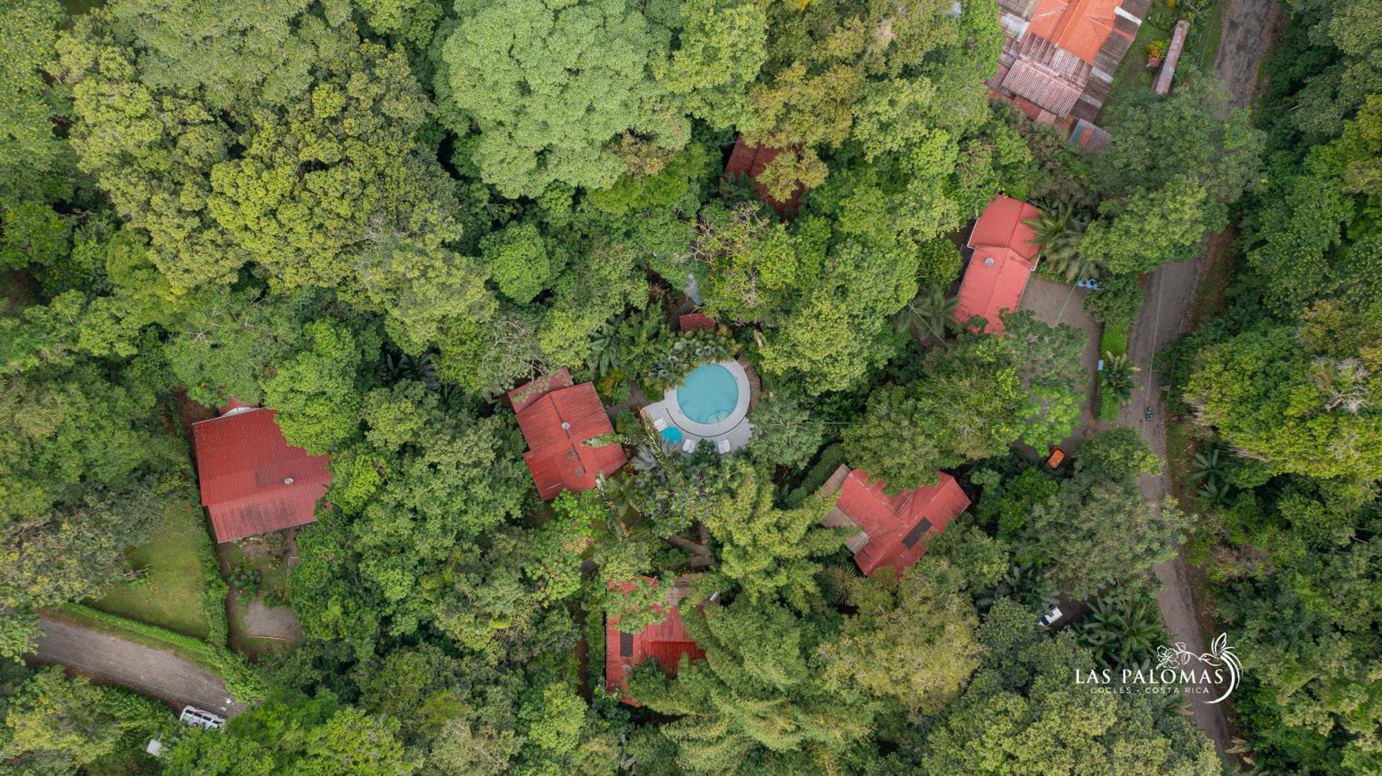 Las Palomas Villas Коклес Экстерьер фото